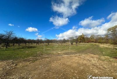 Teren Dambu Rotund 4750 mp, intravilan, UTR TDA_L, posibilitate investitie - 4