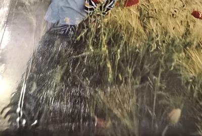 Teren de 670 mp, în Aninoasa