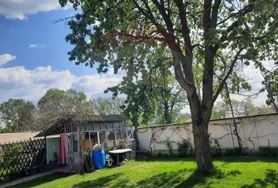 Casă individuală cu 2 camere cu Teren 1836 Mp în Beclean - 8