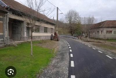 Casă cu 3 camere cu Teren 6627 Mp în Tincova - 6
