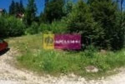 Teren Intravilan de Vanzare Sinaia - 4