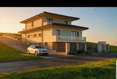 Casa la rosu zona Gheorghe Doja - 3