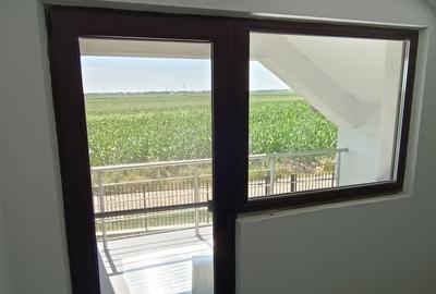 Casă individuală cu 2 camere cu Teren 500 Mp în Mlenăuți - 13