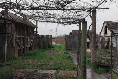 Casă cu 2 camere cu Teren 2258 Mp în Belfir