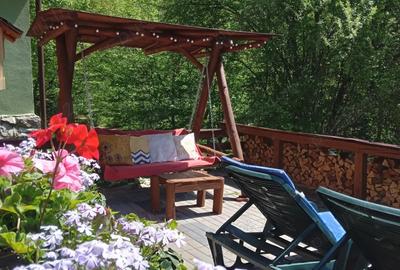 Casă cu 2 camere în Lăpuștești - 7