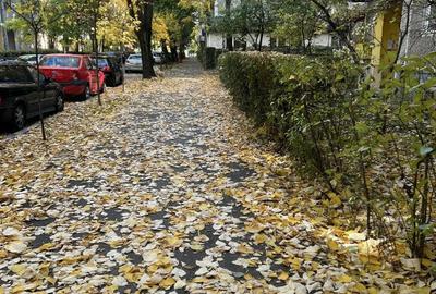 Proprietar apartament 2 camere zona Aradului Vest - 4