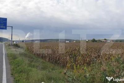 Teren de 5736 mp, în Ungheni - 2