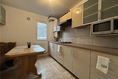 Apartament cu 2 camere semidecomandat, mobilat în Podu Roș - 3