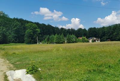 Teren intravilan de 5000, plat, orizontal la poalele muntelui, pe malul Doftanei - 12