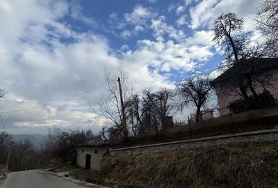 Teren de 24000 mp, în Nucșoara - 4
