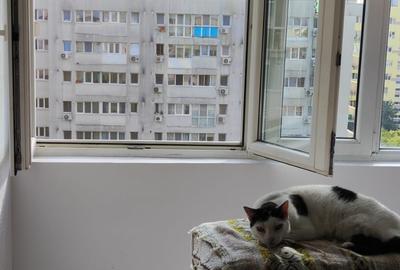 Garsoniera Pța Delfinului - 2