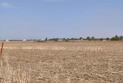 Loturi teren intravilan 500 mp - Rate la Dezvoltator - 2