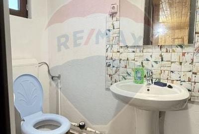 Casa / Vila cu 3 camere de inchiriat in zona Giurgiului - 20