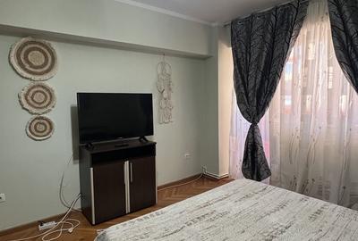 Garsonieră decomandată în Barieră - 10