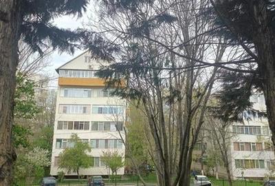 Apartament 3 camere, duplex 2009, Pantelimon, Parcul Florilor - 16
