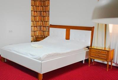 Proprietate specială, de 850 mp, în Poiana (Schitu Duca) - 10