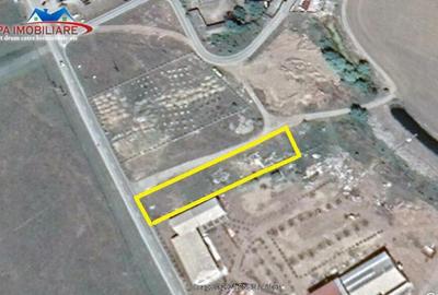 Teren intravilan de loc.Murighiol Jud.Tulcea - 7