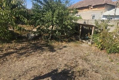 Proprietate imobiliara casa și teren în Criva de Sus - 15