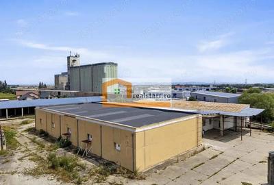 Codlea, Depozite si teren 1,7Ha, 5600mp cladiri, D 155ml la DJ112A, acces E60 - 1