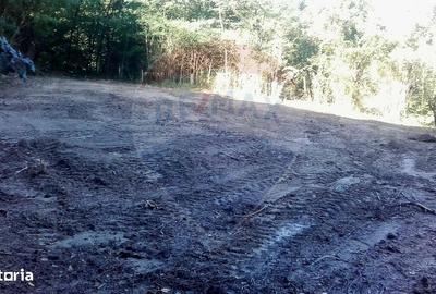 Spațiu comercial, în Brădișor