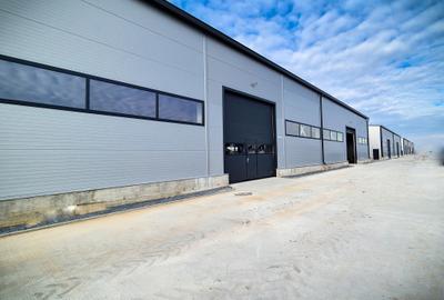 Hale,spatii industriale Albota,Pitesti Arges - 4