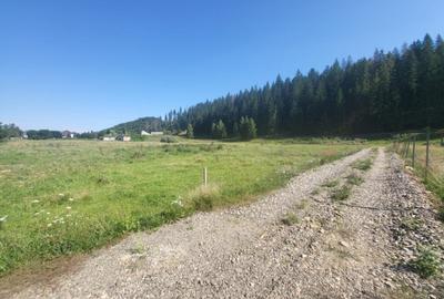 Teren, Ideal pentru Investitie Sau Dezvoltare - 5