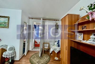 VANZARE GARSONIERA VATRA LUMINOASA IANCULUI 31MP - 3