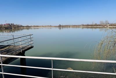 Casă individuală cu 7 camere cu Canalizare în Roșu - 4