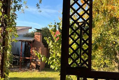 Casă cu Teren 500 Mp în 1 Decembrie - 10