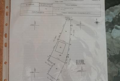 Casă individuală cu 4 camere cu Teren 800 Mp în Peri - 2