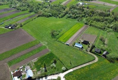 Teren de 28000 mp, în Horodnic - 3