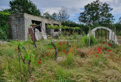 Exclusivitate -Valu lui Traian,Str. Tudor Arghezi nr. 5,teren intravilan 2.912mp - 6