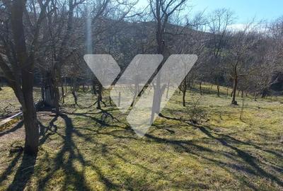 Casă individuală cu 6 camere cu Canalizare în Ruși - 11