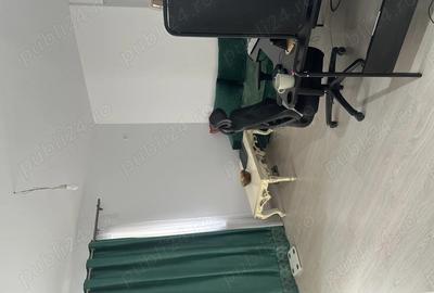 Apartament cu 2 camere decomandat în Nicolae Grigorescu - 5