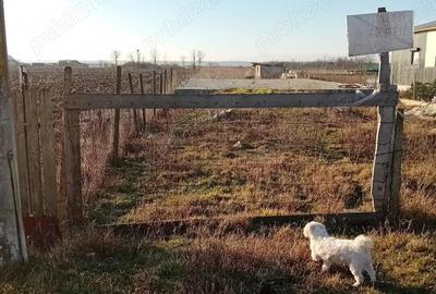 Teren de 2000 mp, în Umbrărești - 4