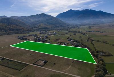 Teren agricol extravilan de 41000 mp, în Central
