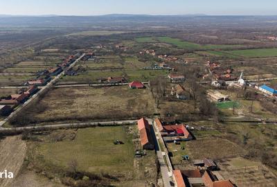 Casă cu 8 camere cu Teren 7235 Mp în Traian Vuia - 6