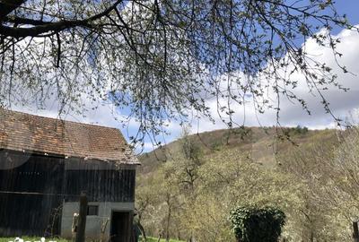 Casă cu 3 camere cu Teren 3198 Mp în Bodoc - 2