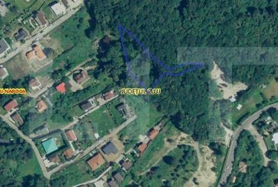Teren de 3387 mp, în Făget - 2