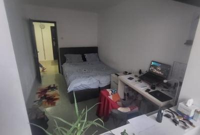 APARTAMENT 4 CAMERE-RAHOVA-MARGEANULUI-DUMBRAVA NOUA-2 BALCOANE-2 BAI - 14