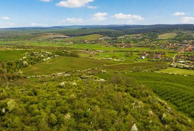 Teren agricol extravilan de 196000 mp, în Brestovăț - 2
