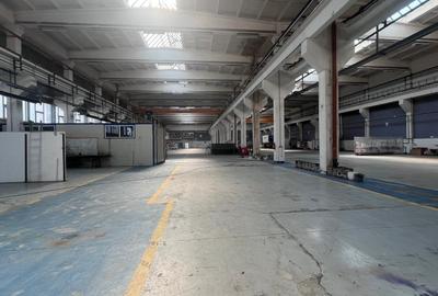 Hală industrială de închiriat – 3.805 mp, pod rulant, acces TIR-Zona Astra - 4