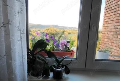 Apartament cu 3 camere decomandat în Central - 1