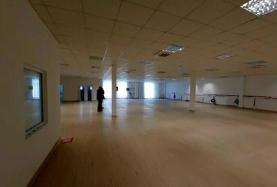 DEPOZIT DE INCHIRIAT IN TRC PARK ARAD - 3