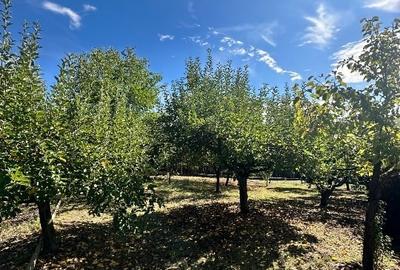 Vanzare vila superbă, P+1+Pod, Albota - 6