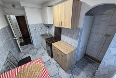 Apartament 1 camera Centaur - 9