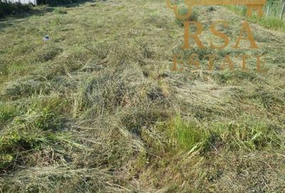 Teren de 2652 mp, în Golești - 4