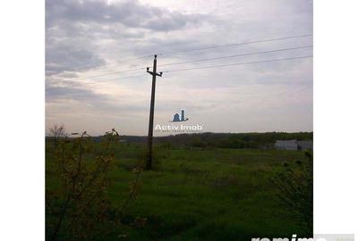 Teren de 5000 mp, în Ciolpani - 2