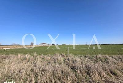 Spațiu comercial, în Giroc - 6