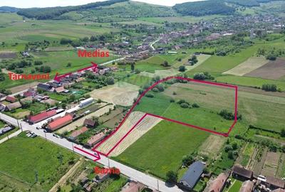 Teren de 15360 mp, în Blăjel - 12